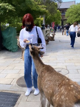 23cnrさんのコーディネート