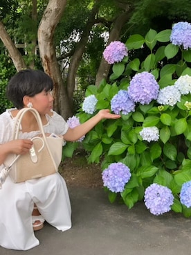 mi19841101さん（骨格ストレート・レディース・156cm）の秋コーディネート