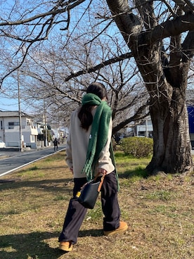 フウさんのコーディネート