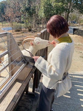 「MERLOT（メルロー）のアイテム（ニット/セーター）」を使った、ここまーちさん（レディース・158cm）の冬コーディネート