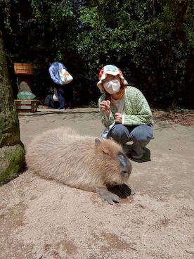 「ehka sopo（エヘカソポ）のアイテム」を使った、うるふのもも。さん（レディース・151cm）の春コーディネート