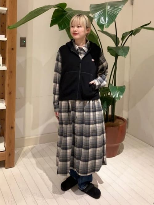 セール】DANTON / ポーラテック ジップ ベスト（その他アウター