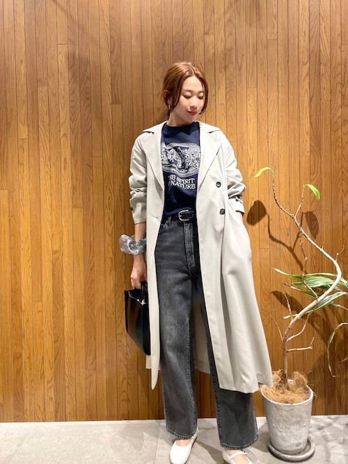 decor『デコール』　B Chou Chou
