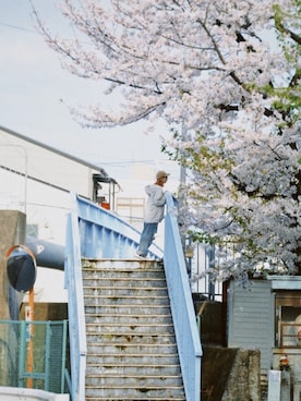 노 바さんのコーディネート