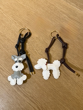 「アイテム（チャーム、グレー系）」を使った、みーさん（レディース・162cm）の秋コーディネート