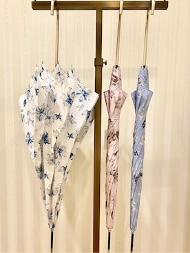 「アイテム（長傘）」を使った、みーさん（レディース・162cm）の春コーディネート