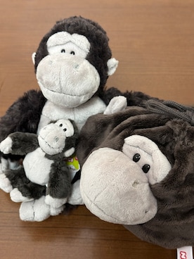 「one'sterrace（ワンズテラス）のアイテム」を使った、idkさん（レディース・158cm）の春コーディネート