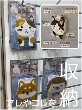 「アイテム（収納グッズ）」を使った、idkさん（レディース・158cm）の夏コーディネート