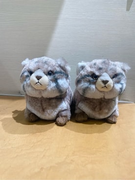 「アイテム（おもちゃ、グレー系）」を使った、idkさん（レディース・158cm）の冬コーディネート