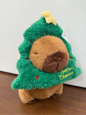 「アイテム（コスチューム/パーティーグッズ）」を使った、idkさん（レディース・158cm）の秋コーディネート