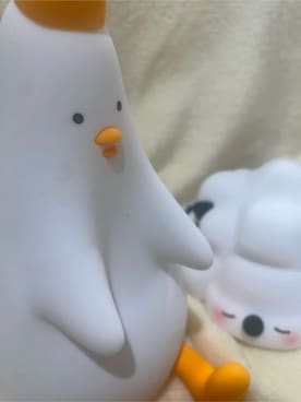 「アイテム（照明）」を使った、idkさん（レディース・158cm）の秋コーディネート