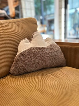 「アイテム（ブランケット）」を使った、かみやまさん（レディース・160cm）の冬コーディネート