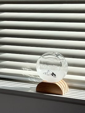 iskwykさん（レディース・163cm）の春コーディネート