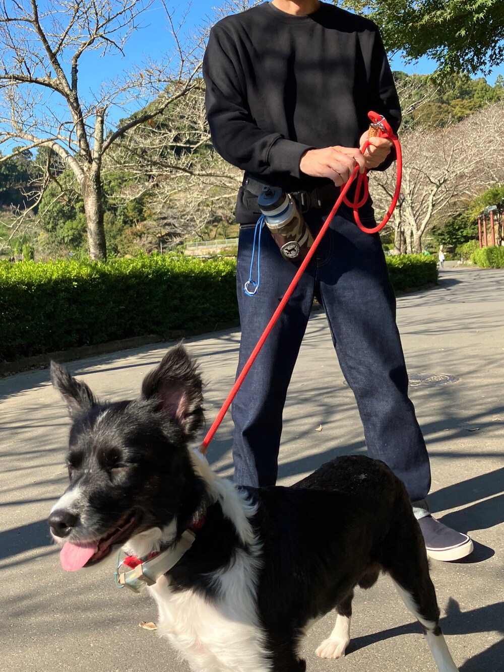 「犬散歩、普段着」｜「無印良品のアイテム（デニムパンツ、ブルー系）」を使った、私服の軍服化さん（メンズ・169cm）の秋コーディネートの1枚目の写真