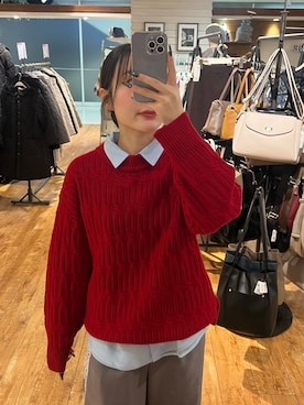 「アイテム（シャツ/ブラウス）」を使った、にきちささん（レディース・158cm）の秋コーディネート