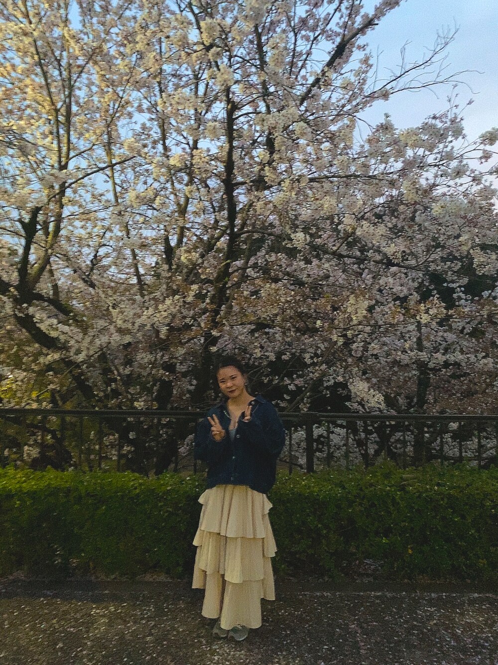 「花見コーデ」｜「mysticのアイテム（デニムジャケット、ブルー系）」を使った、けいこさん（レディース・150cm）の春コーディネートの1枚目の写真