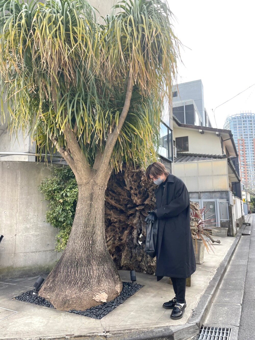 「ステンカラーコート、Dr.Martens、ローファー」｜「FREAK'S STOREのアイテム（ステンカラーコート、ブラック系）」を使った、mjさん（メンズ・172cm）の春コーディネートの1枚目の写真