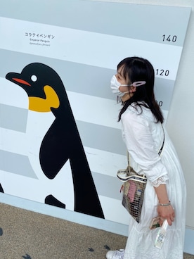 ぽさん(レディース・155cm)の夏コーディネート