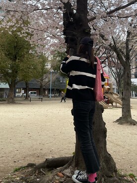 ハシダ トモナさんのコーディネート