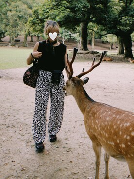 「アイテム（チノパンツ、その他）」を使った、brenda1029さん（レディース・156cm）の夏コーディネート