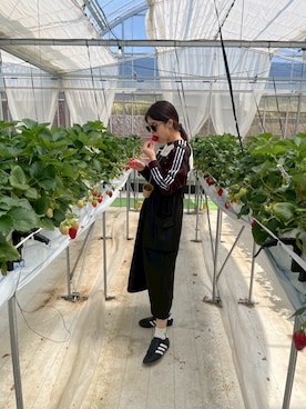 「Java（ジャバ）のアイテム」を使った、nnuwearさん（レディース・163cm）の春コーディネート