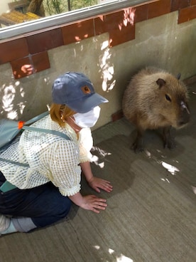 あほーさんのコーディネート