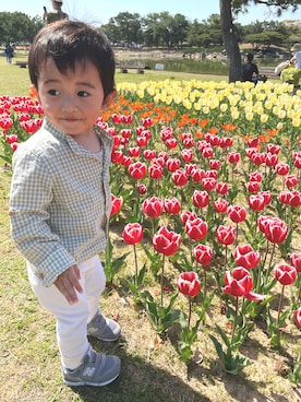 harukiさんのコーディネート