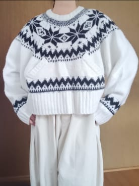 shominnohoshiさんのコーディネート