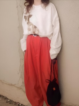 shominnohoshiさんのコーディネート