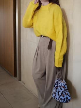 shominnohoshiさんのコーディネート