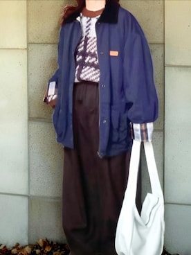 shominnohoshiさんのコーディネート