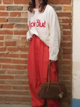 shominnohoshiさんのコーディネート