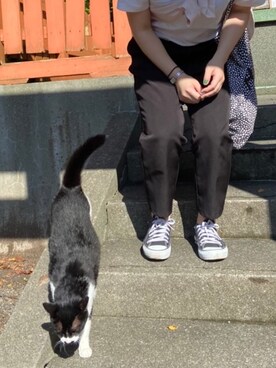 misakiさんのコーディネート