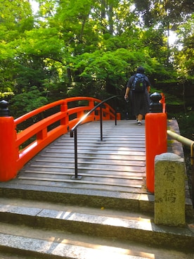 shoujimeguruさん（レディース・161cm）の夏コーディネート