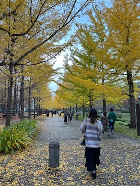 凜さん（レディース・159cm）の秋コーディネート