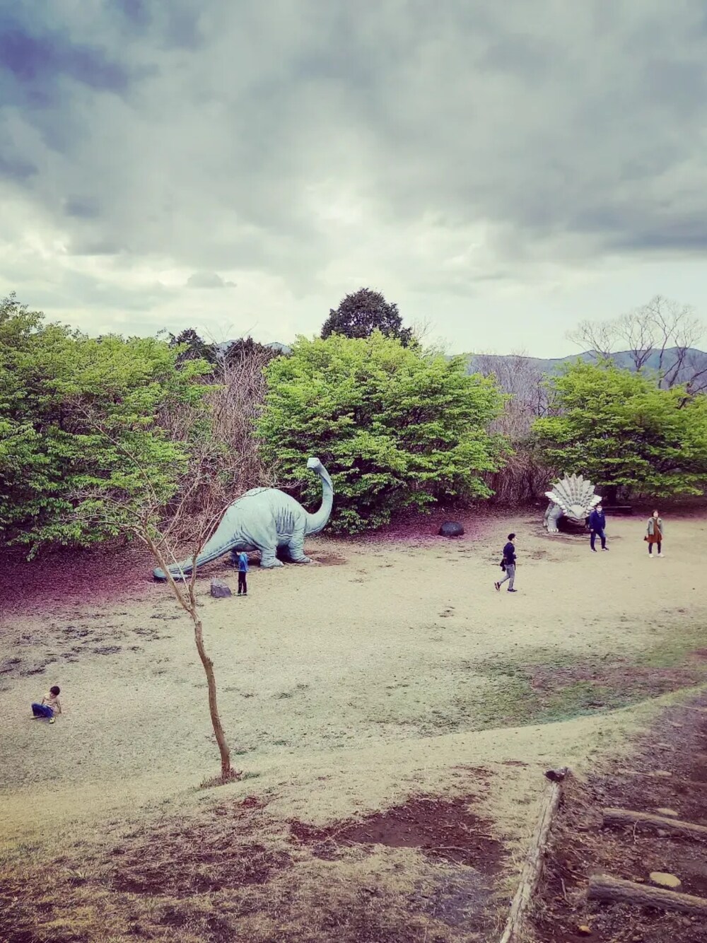 ピンク系のシャツ/ブラウス、ホワイト系のシャツ/ブラウス、ブラック系のスニーカーを着用したレディースの春コーディネートの5枚目の写真