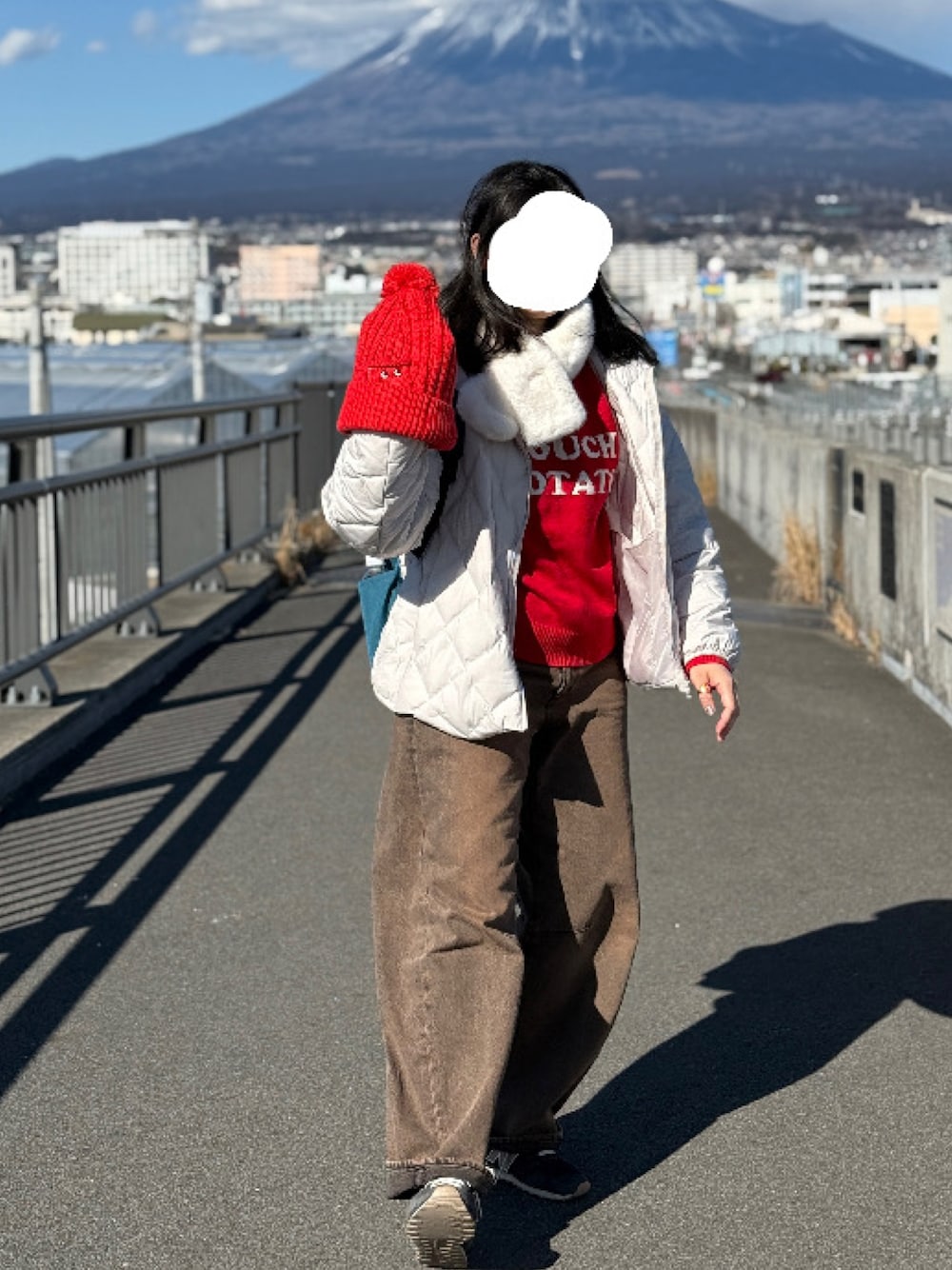 「冬コーデ、富士山」｜「GUのアイテム（デニムパンツ、ブラウン系）」を使った、cleankeepさん（レディース・162cm）の春コーディネートの1枚目の写真