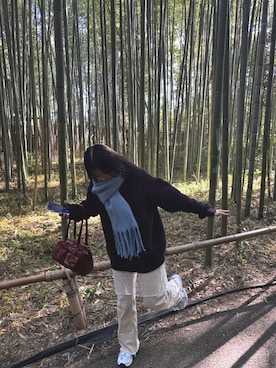 yukaakanukeさん(レディース・162cm)の春コーディネート