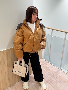 LACOSTE（ラコステ）の「LACOSTE SPORT 撥水ストライプジップゴルフ