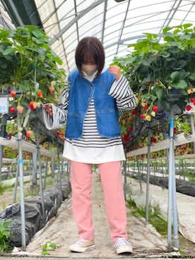 「しまむら（シマムラ）のアイテム」を使った、a s u k aさん（レディース・146cm）の春コーディネート