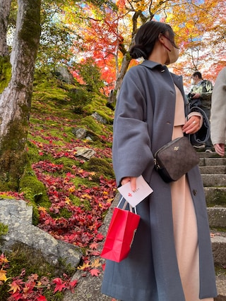 fig London(フィグロンドン)の「DICROS AIRO sten CO(ステンカラー