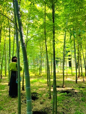 「OUTLET（アウトレット）のアイテム」を使った、tomatoayakaさん（レディース・153cm）の冬コーディネート