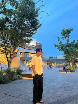 「Levi's（リーバイス）のアイテム（Tシャツ/カットソー）」を使った、ひろさん（メンズ・180cm）の夏コーディネート