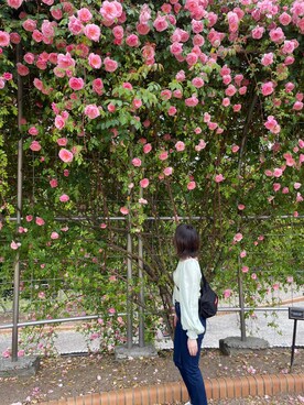 きなこ。さんのコーディネート