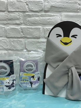「アイテム（ビューティーグッズ）」を使った、てんちゃんさん（レディース・100cm）の夏コーディネート