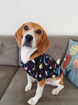 yukyaさんのコーディネート