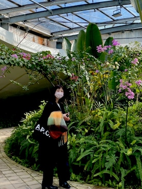 リンさんのコーディネート