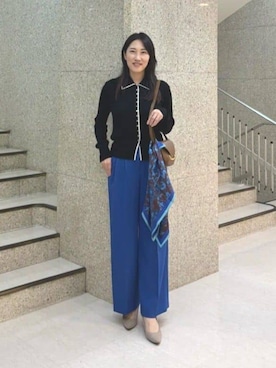 「ANAYI（アナイ）のアイテム」を使った、 ANAYI　ショップスタッフさん（レディース・163cm）の秋コーディネート