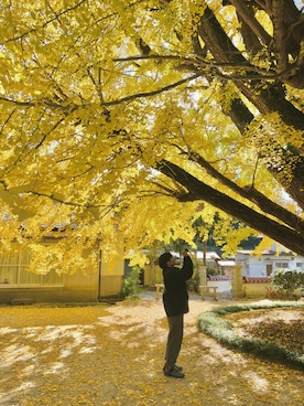 「アイテム（マウンテンパーカー）」を使った、まっしゅさん（レディース・156cm）の秋コーディネート