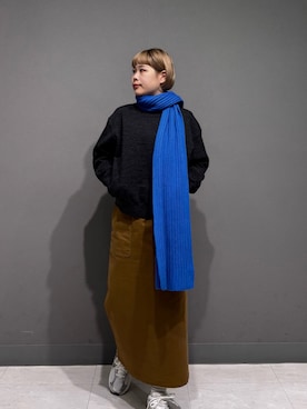 「アイテム（スカート）」を使った、louisさん（レディース・153cm・30代）の秋コーディネート